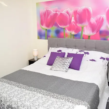 Kingaapartman Apartment
